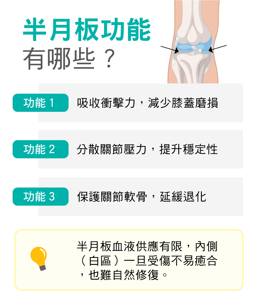 半月板功能有哪些