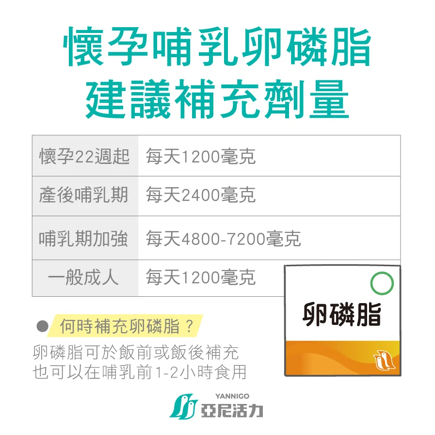 懷孕哺乳期補充卵磷脂時機與劑量