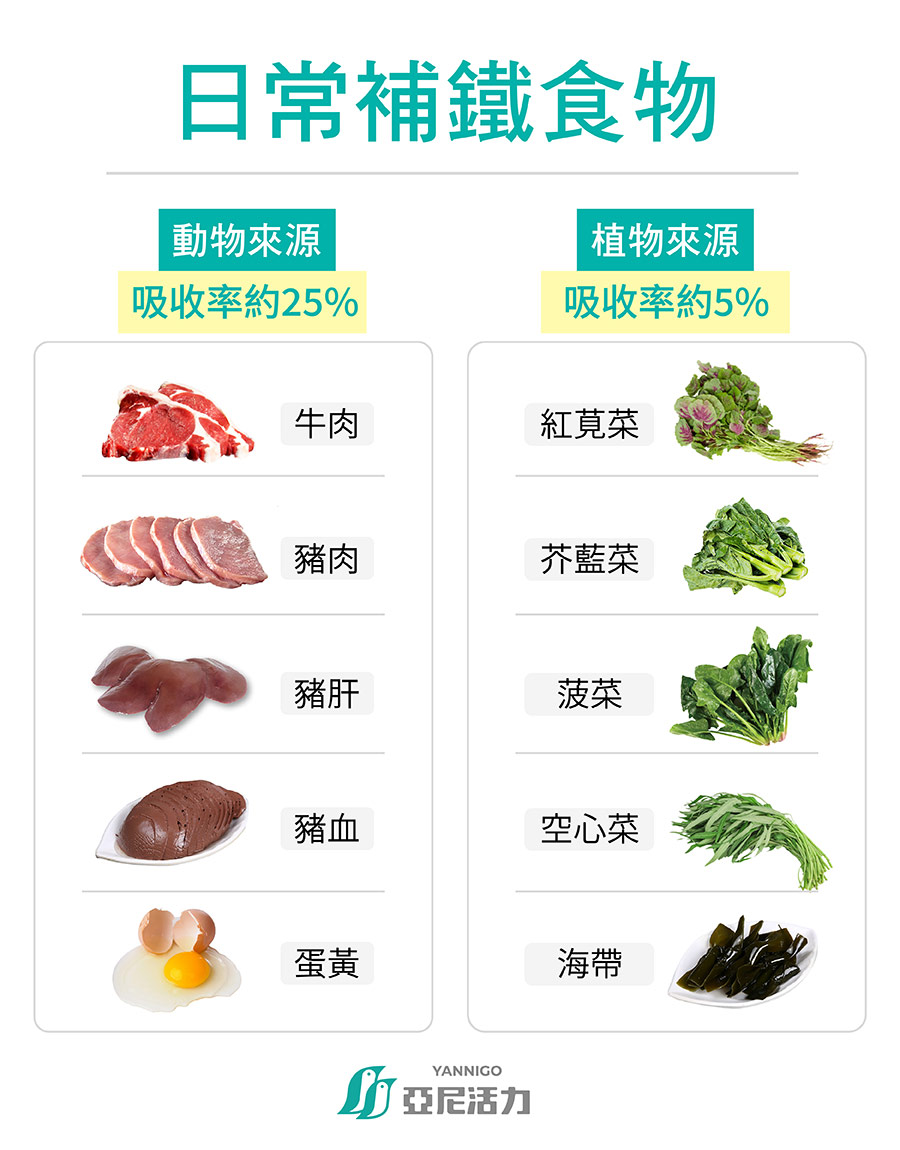 日常補鐵食物水果 日常補鐵食物水果