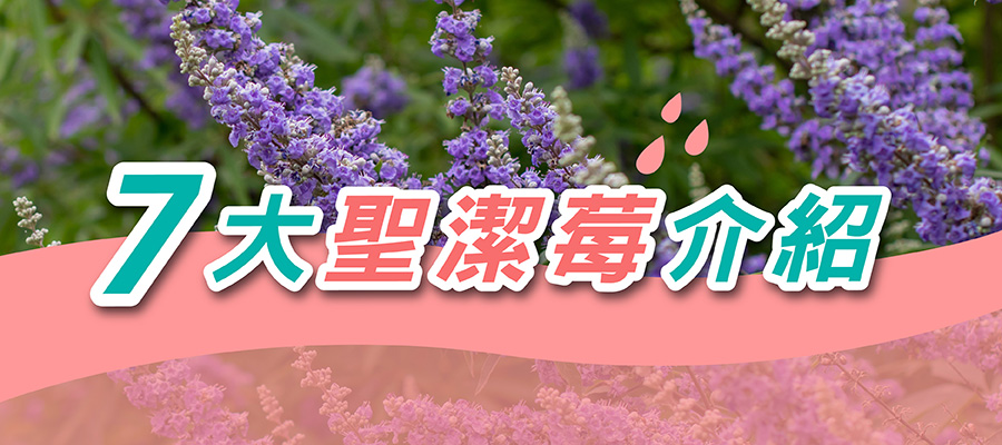 7大聖潔莓推薦品牌