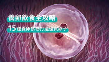 15種超級養卵食物